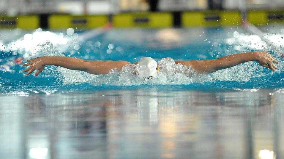 Schwimmer führt einen Butterfly-Zug im Wasser aus, Hände und Kopf über der Wasseroberfläche.